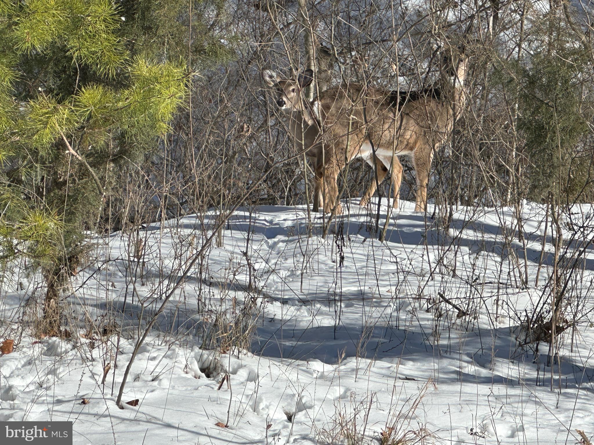 BLUFFS ON THE POTOMAC - Land