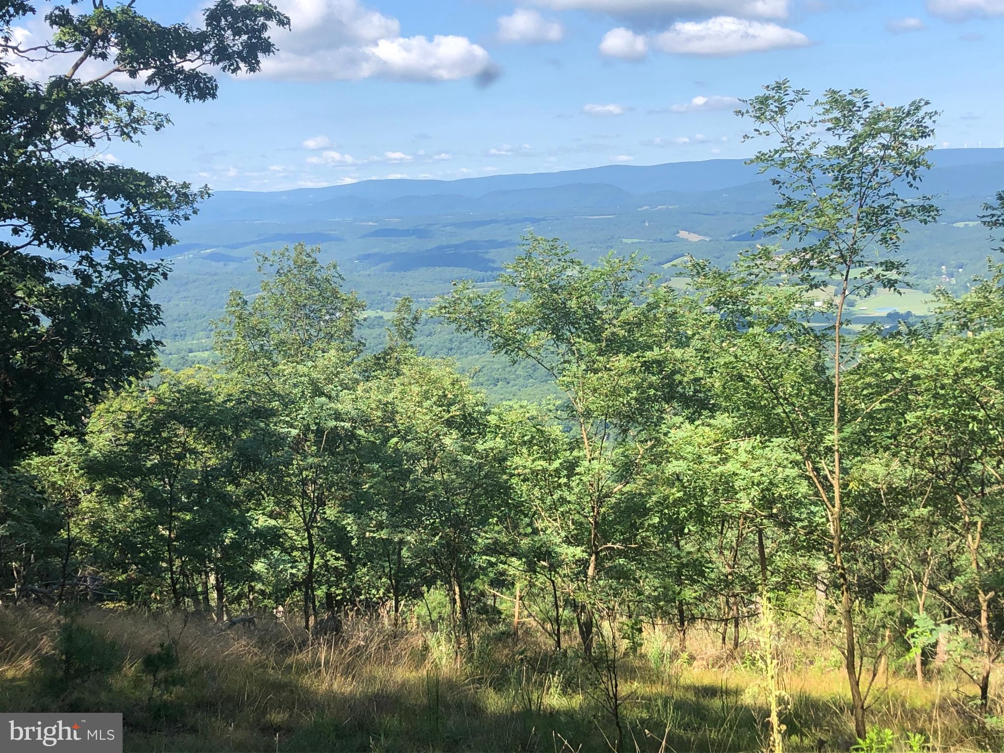 BLUFFS ON THE POTOMAC - Land
