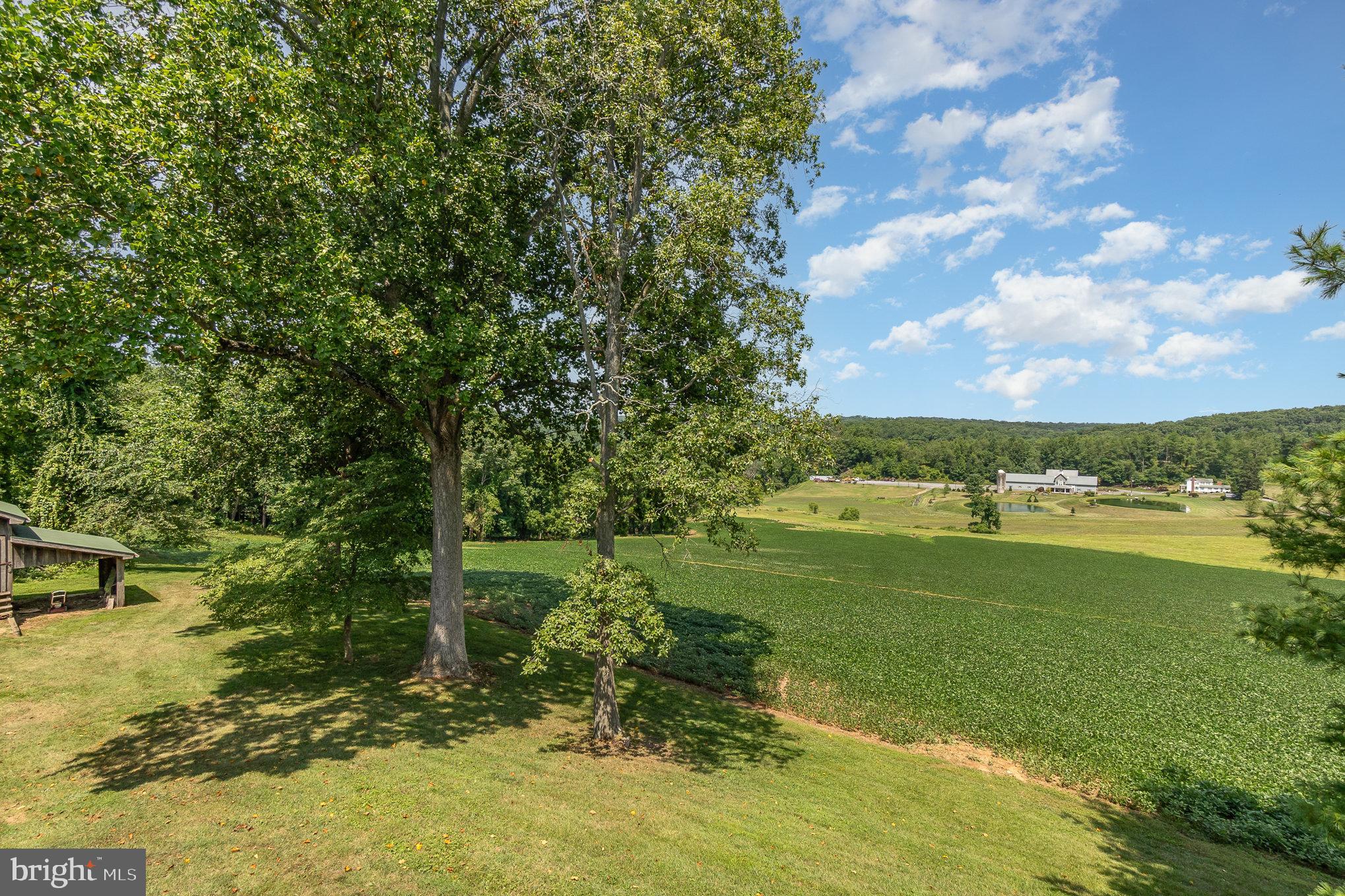 FOREST HILL - Residential