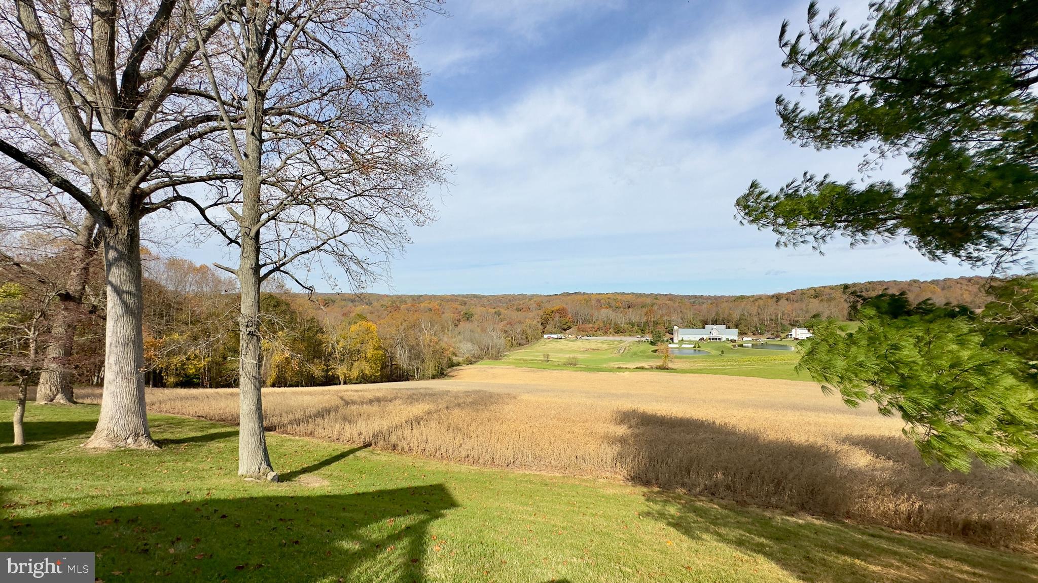 FOREST HILL - Residential