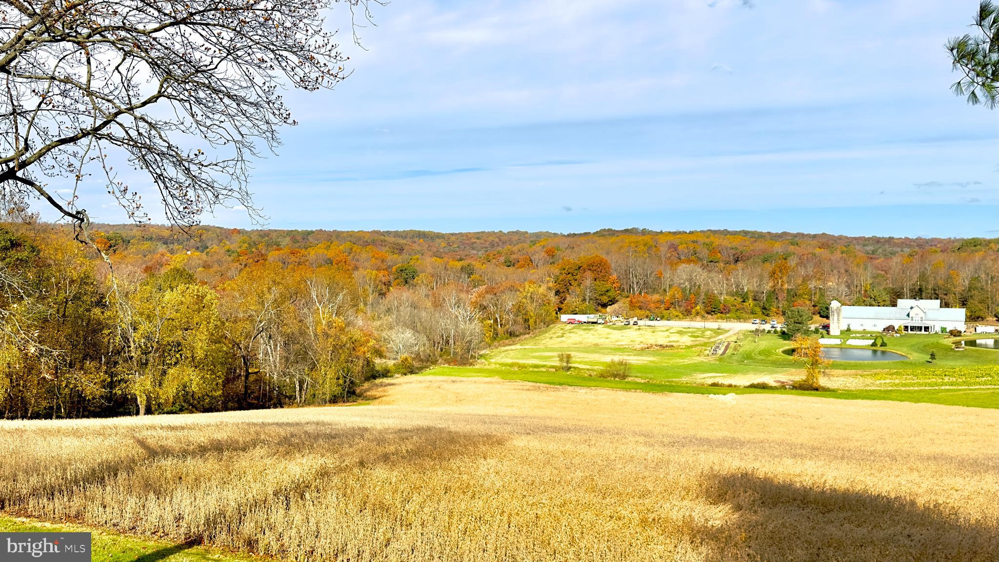 FOREST HILL - Residential