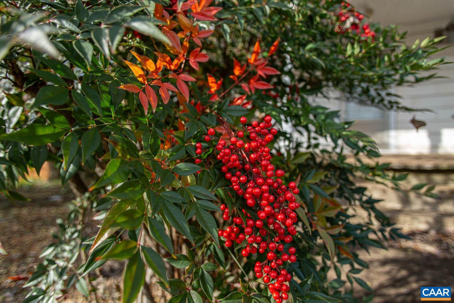 NONE AVAILABLE - Land