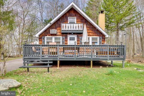 Photo of 2158 Tuscarora Drive, POCONO LAKE, PA 18347 (MLS # PAMR2005824)
