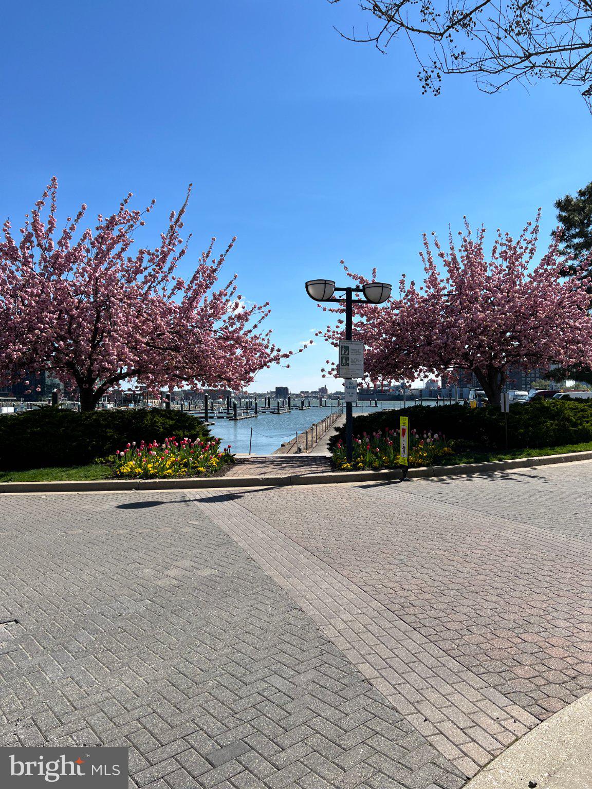 SOUTH BALTIMORE - Residential