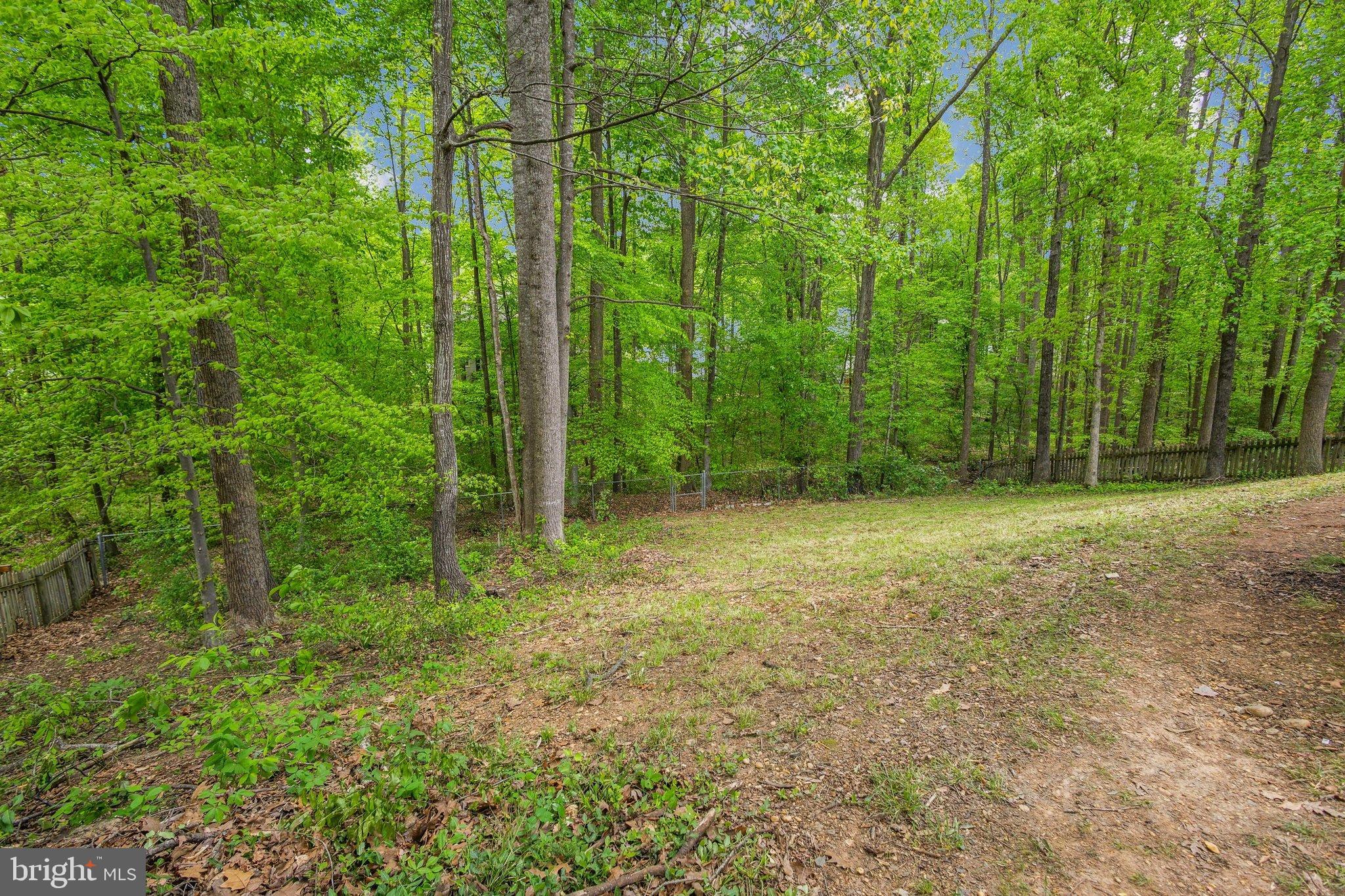 CARDINAL FOREST - Residential