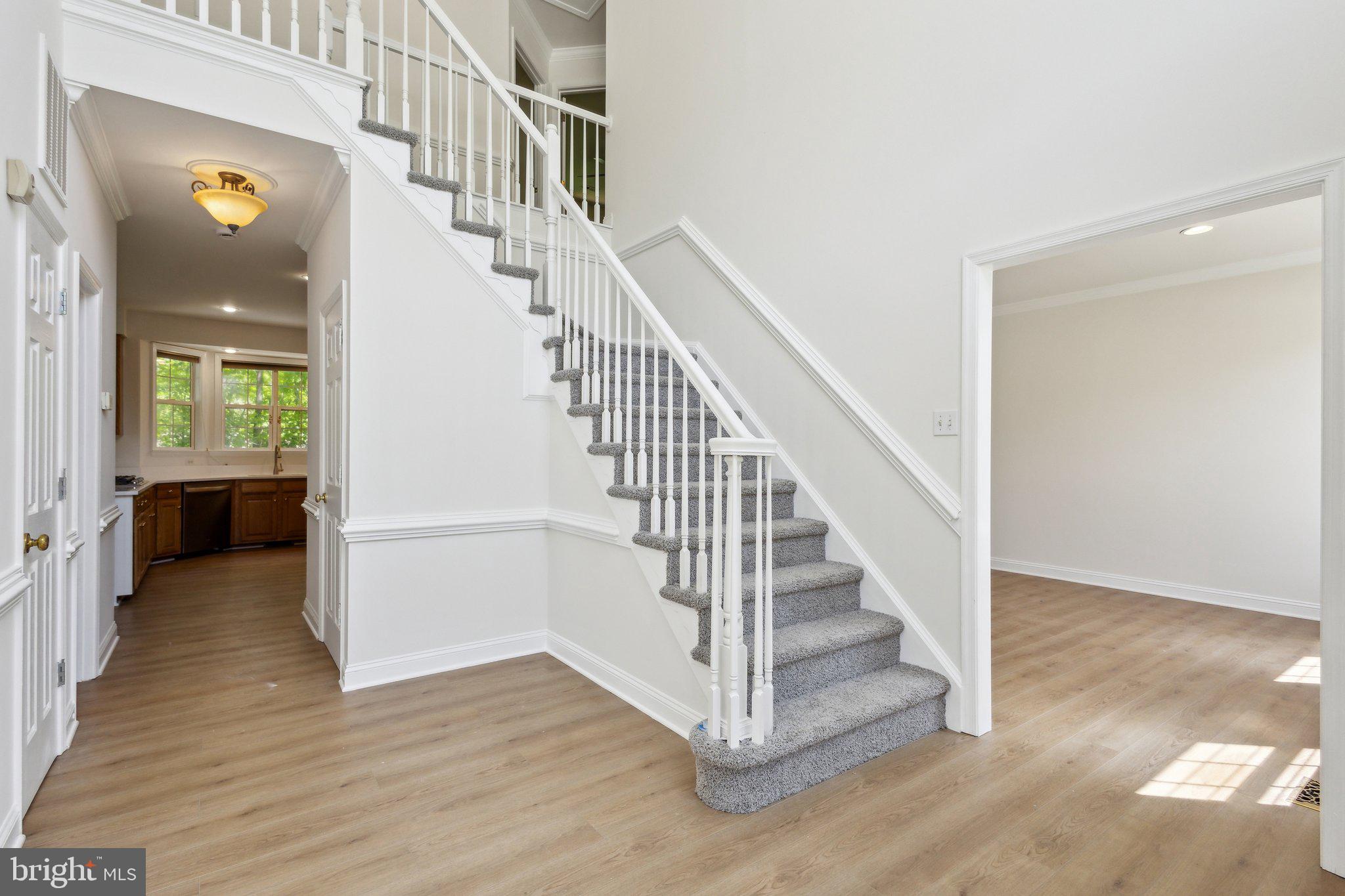 CARDINAL FOREST - Residential