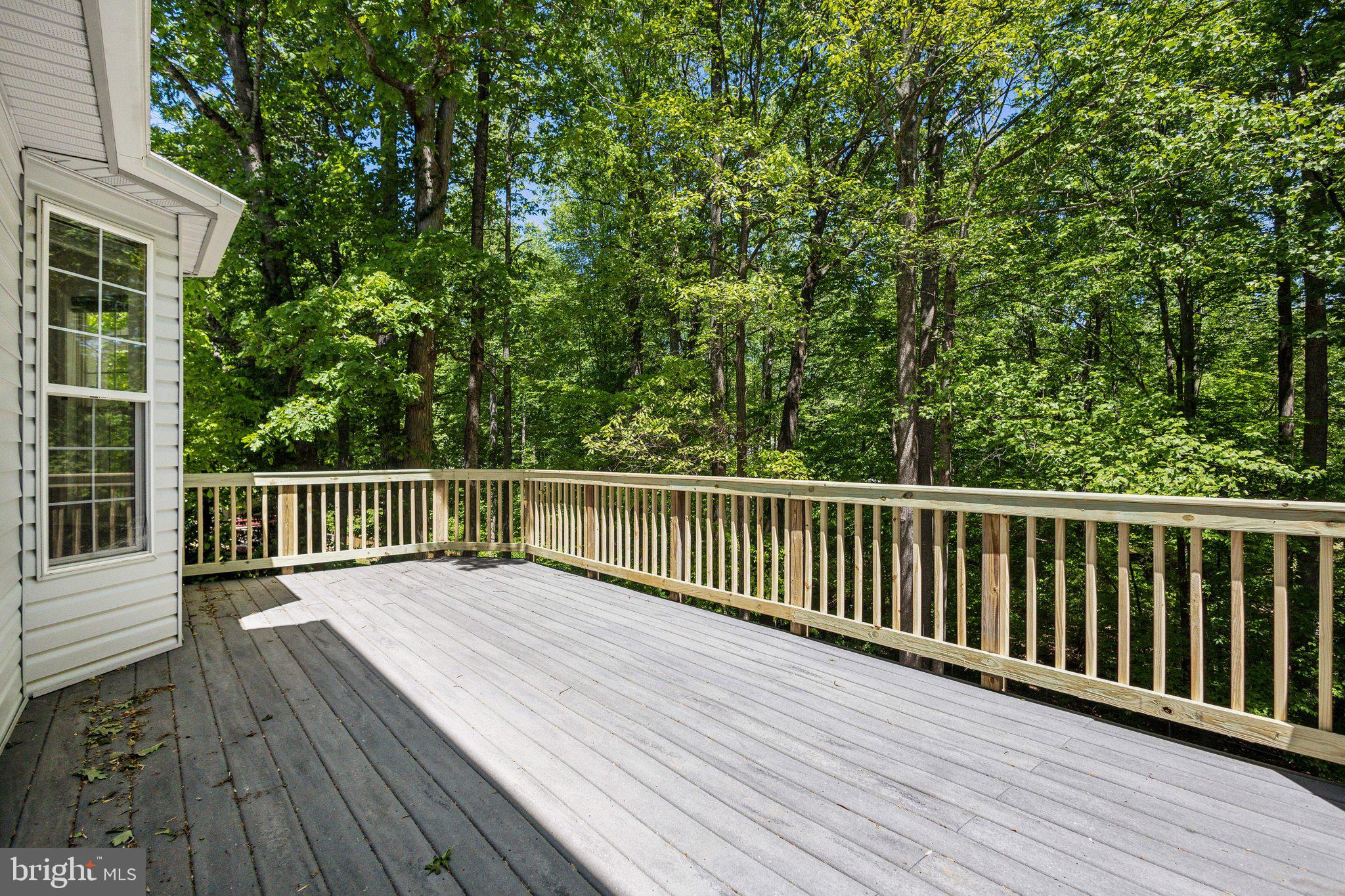 CARDINAL FOREST - Residential