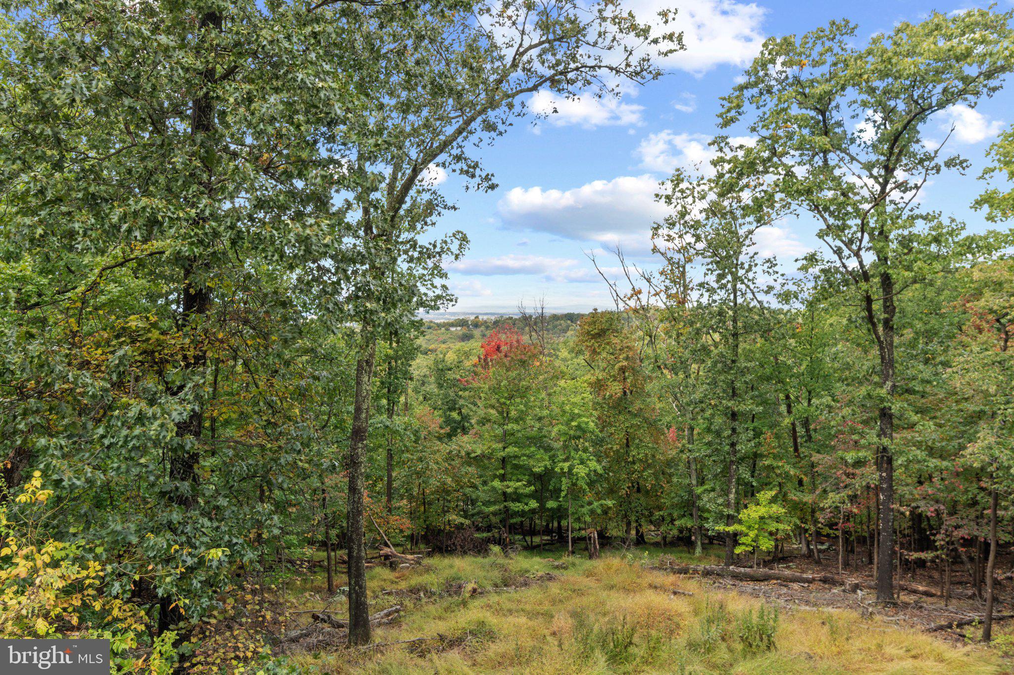 155 FAWN DRIVE