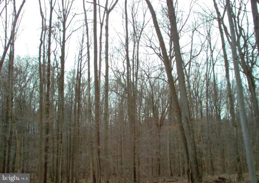 AMAZING OPPORTUNITY! This stunning 8.6 acre wooded lot with stream is in a prime location in Montgomery County, MD and won't last long.  It is perc-approved, and ready for you to build your dream home.  It is accessible off of New Hampshire Avenue and minutes from Washington, D.C.