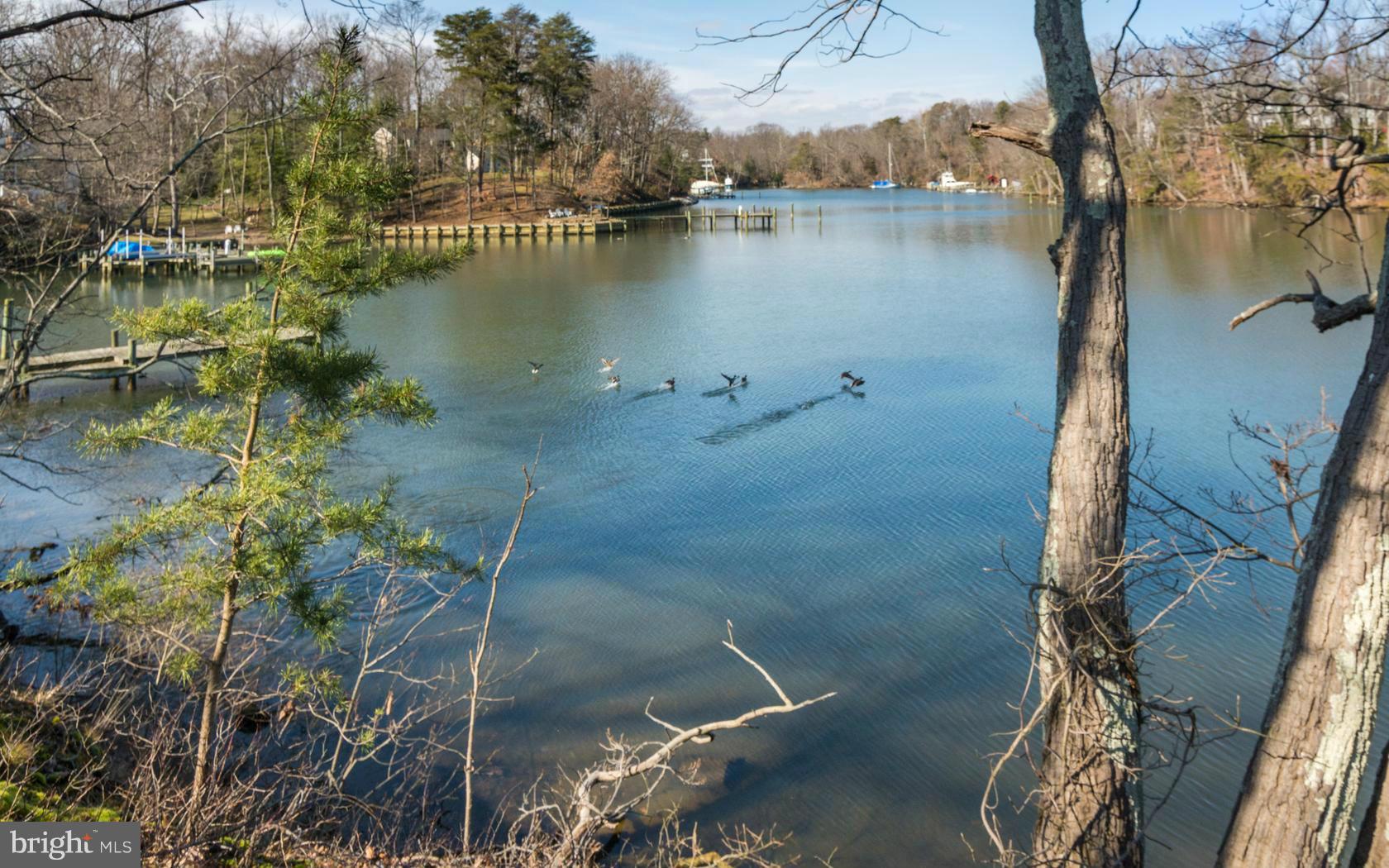 ARBUTUS BANKS - Residential