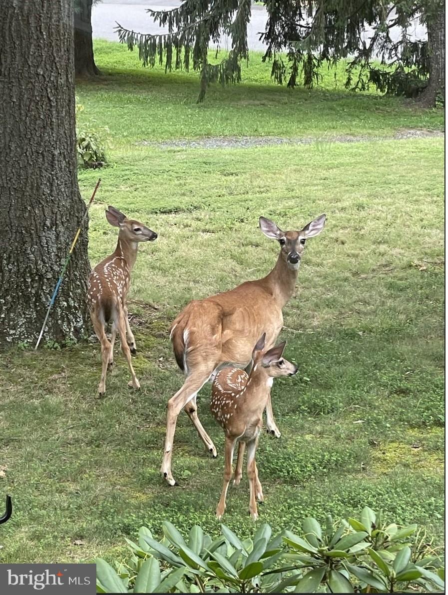 LEE MEADOWS - Residential