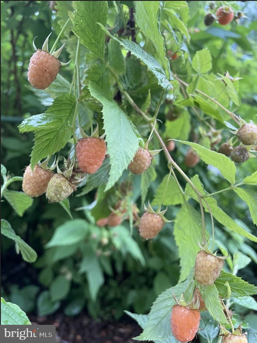 LEE MEADOWS - Residential