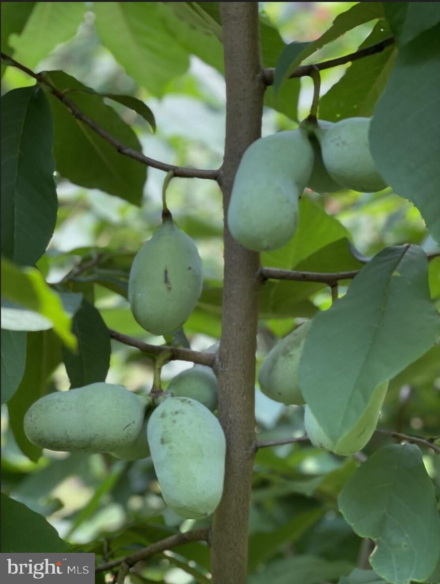 LEE MEADOWS - Residential