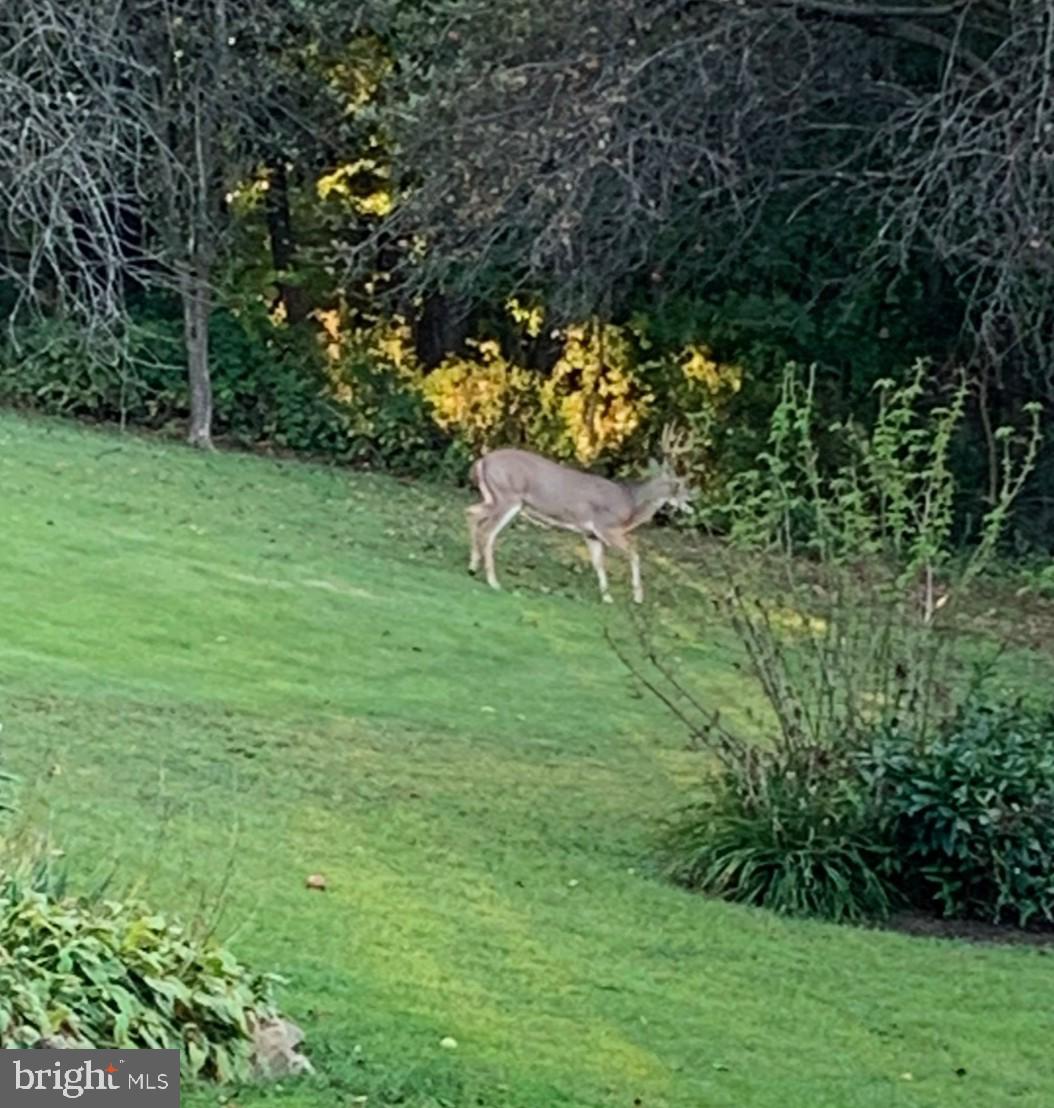 HEREFORD TOWNSHIP - Residential