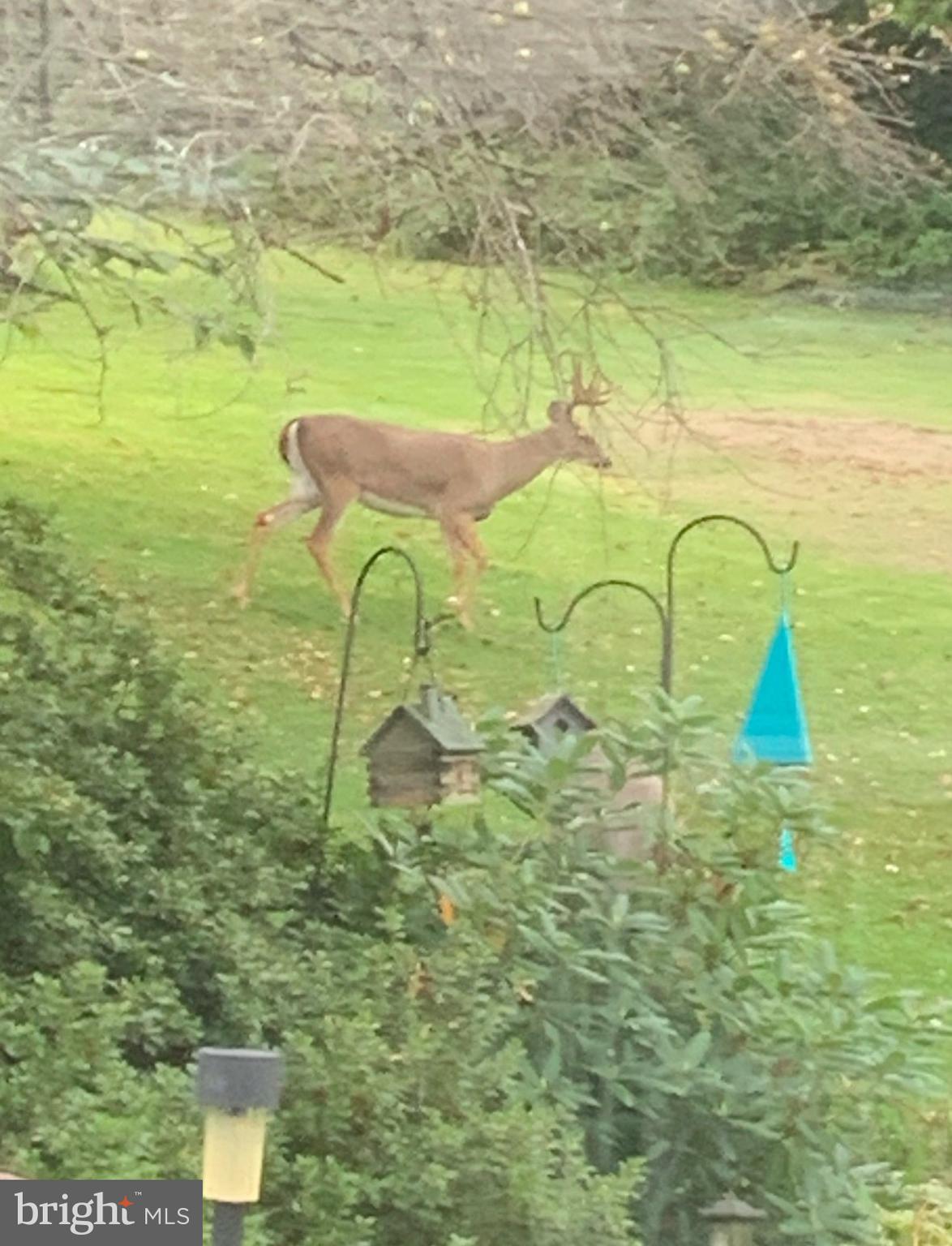 HEREFORD TOWNSHIP - Residential