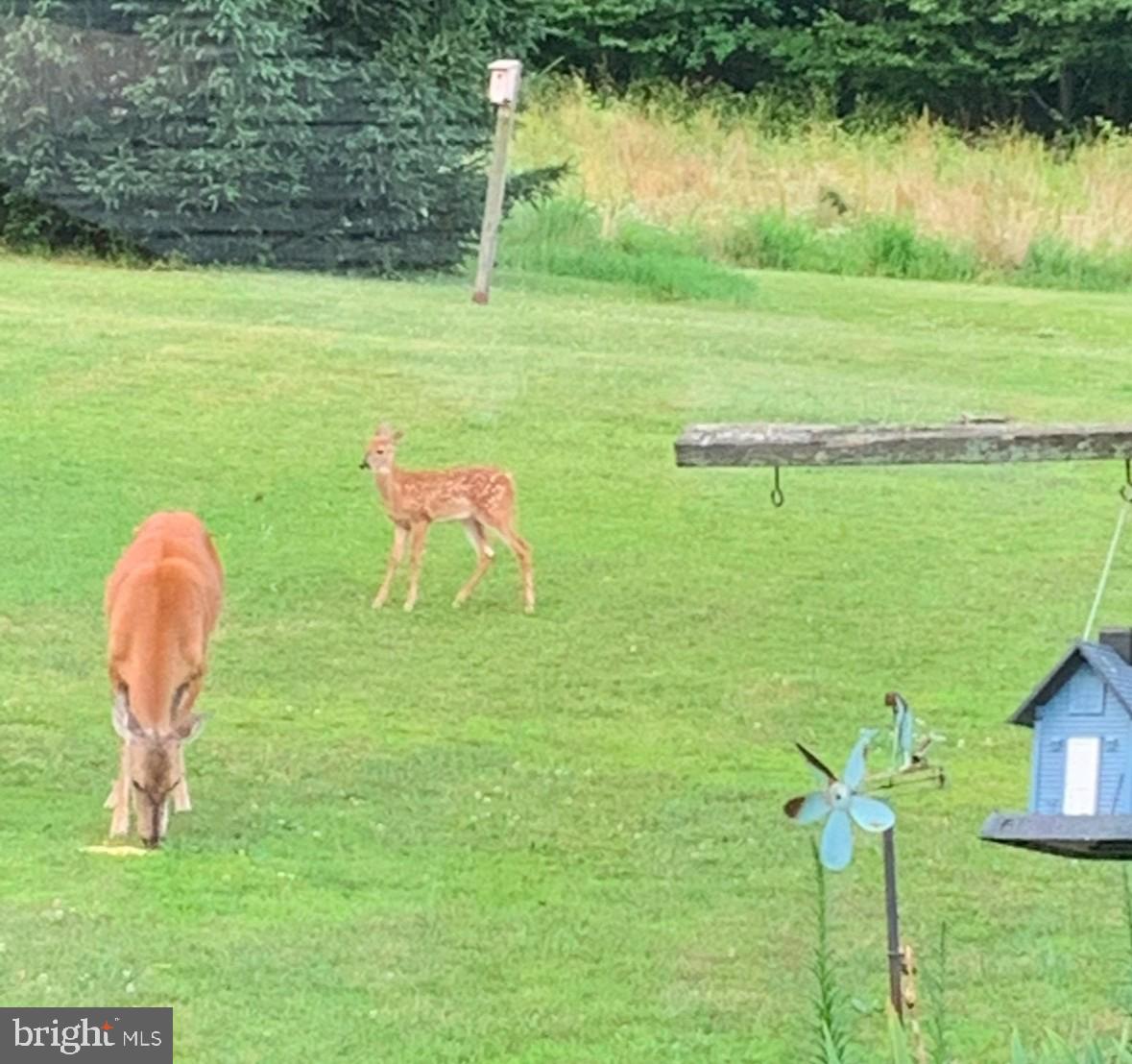 HEREFORD TOWNSHIP - Residential