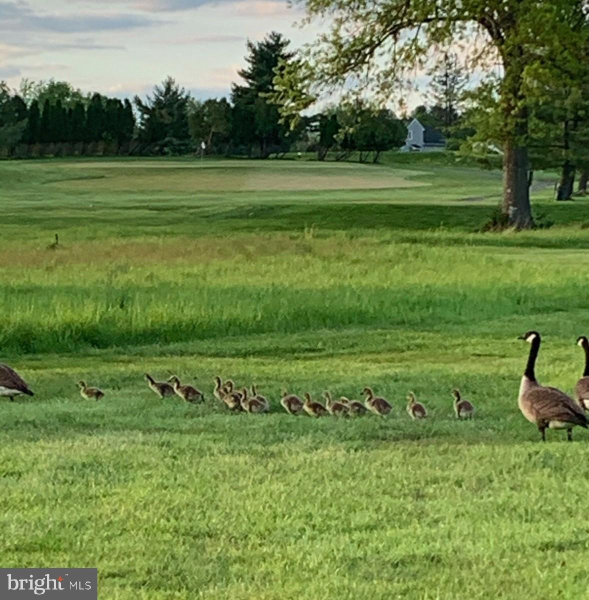 HEREFORD TOWNSHIP - Residential