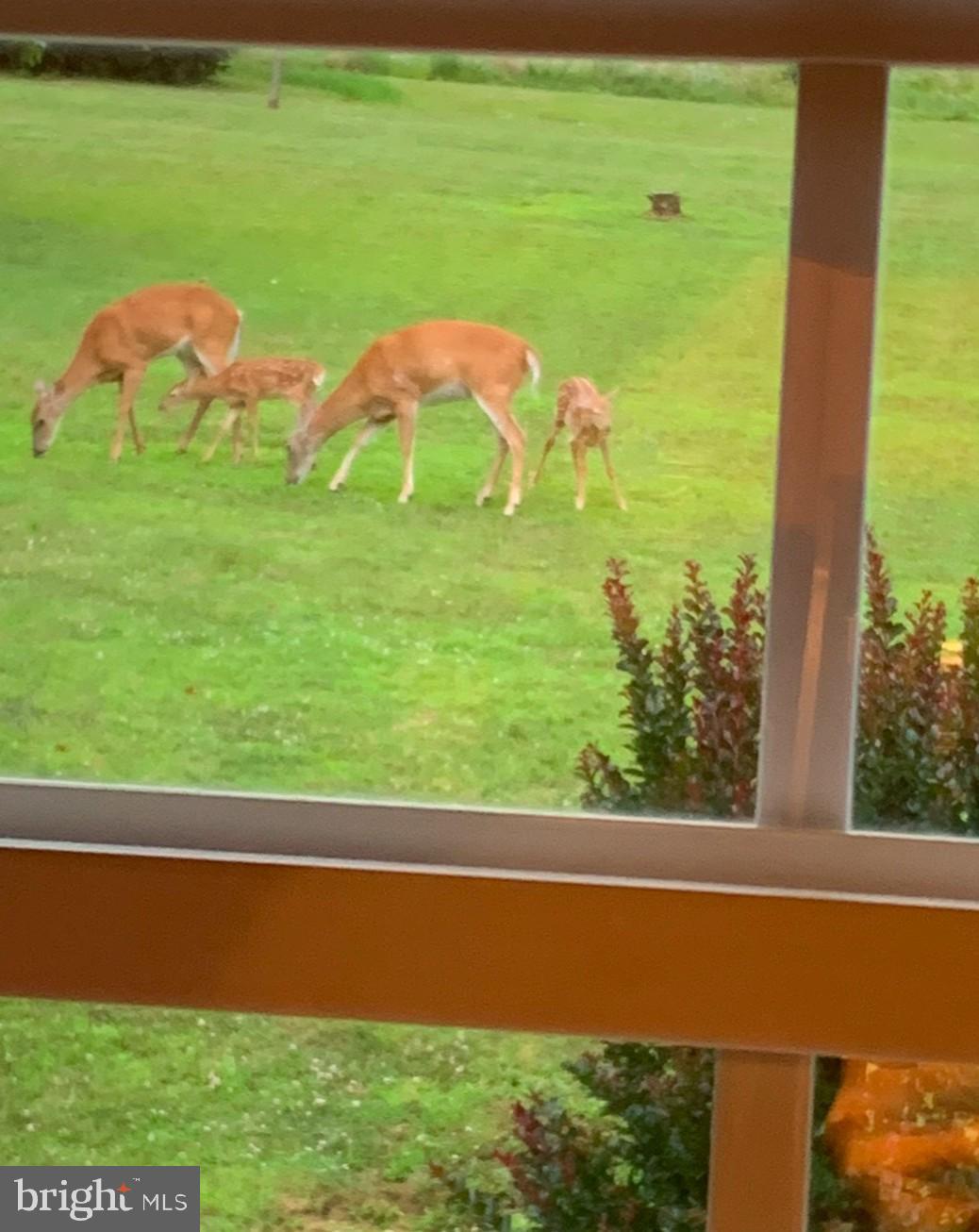 HEREFORD TOWNSHIP - Residential