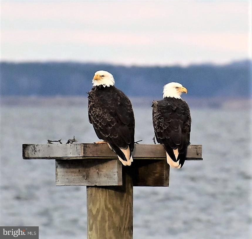 SWAN POINT SUB - Residential