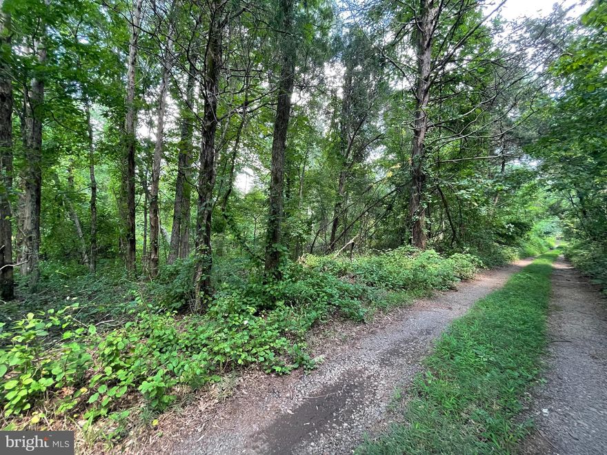 3.25 acre lot priced to sell in Midland. Assessed value $152,100. Owner has moved out of state and is motivated to sell. Close to major commuter routes, only 10 minutes to Warrenton, shopping, restaurants and more! Neighboring lots have been subdivided and obtained easement to Old Hurleytown Rd. New survey attached.