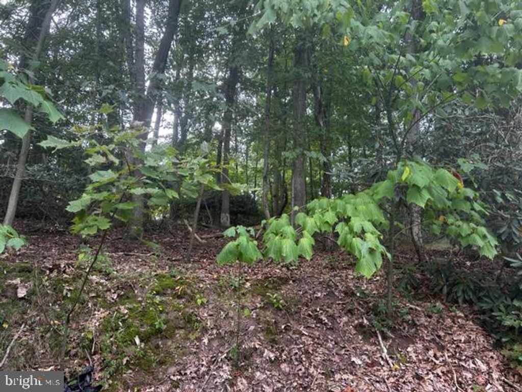 Photo of 0 N Highland Drive, POTTSVILLE, PA 17901 (MLS # PASK2017556)