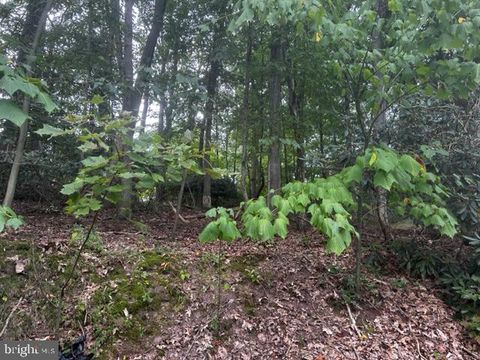 Vacant Land For Sale - N Highland Drive<br/> POTTSVILLE, PA 17901