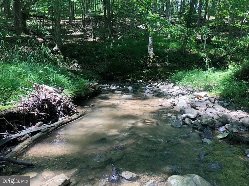 BACKWOODS BEAUTY! ABSOLUTELY GORGEOUS 5.7 ACRE WOODED LOT WITH FLOWING STREAM IN THE BACK, 100% USABLE, LAYS GREAT, COVERED IN MATURE HARDWOODS. UNDERGROUND ELECTRIC & PHONE ALONG ROAD. MOBILE HOMES OK & CAMPERS OK FOR 120 DAYS. HOA FEE $50 PER YEAR & TAXES A MEAGER $134 A YEAR. HUNT, CAMP, SHOOT, ATV'S OR JUST BUG OUT! THIS ONE IS SO FAR BACK IN THE BOONIES, THE BANJOS STOP PLAYING BEFORE YOU GET THERE.....BUT IT'S WORTH THE TRIP!