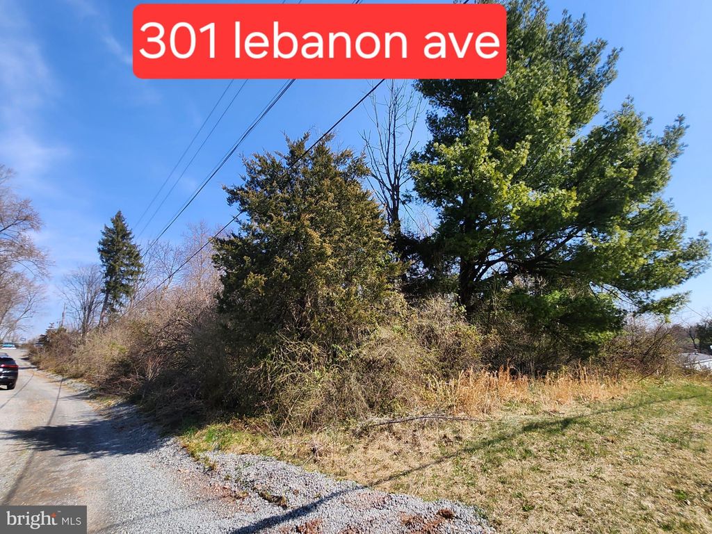 Photo of 301 Lebanon Avenue, BIRDSBORO, PA 19508 (MLS # PABK2040988)