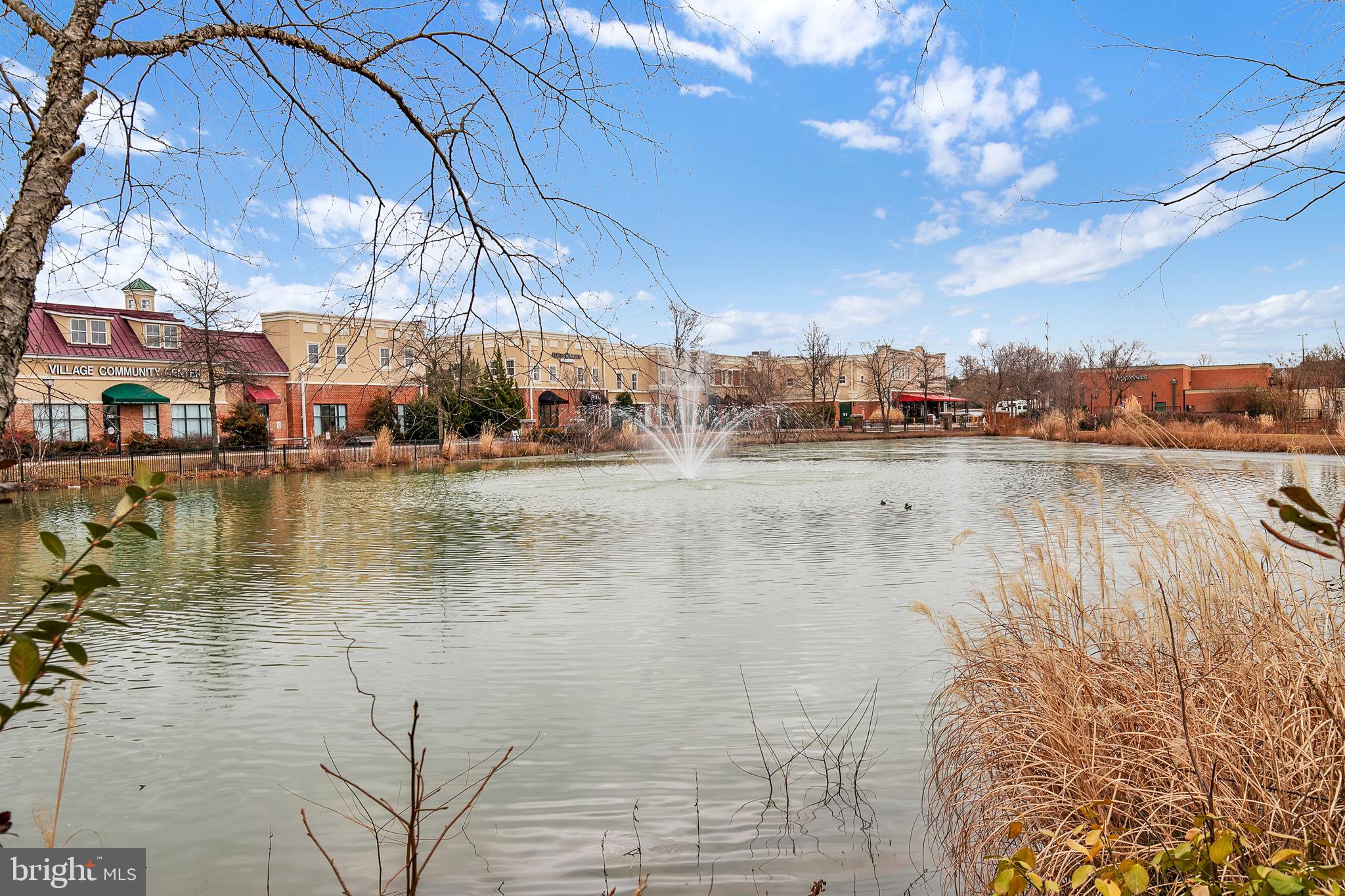 VILLAGE AT WAUGH CHAPEL - Residential