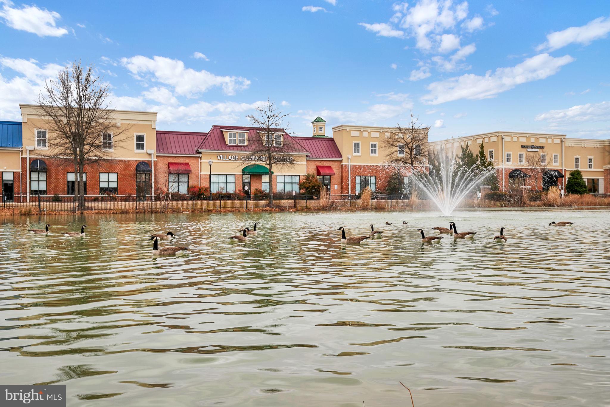 VILLAGE AT WAUGH CHAPEL - Residential