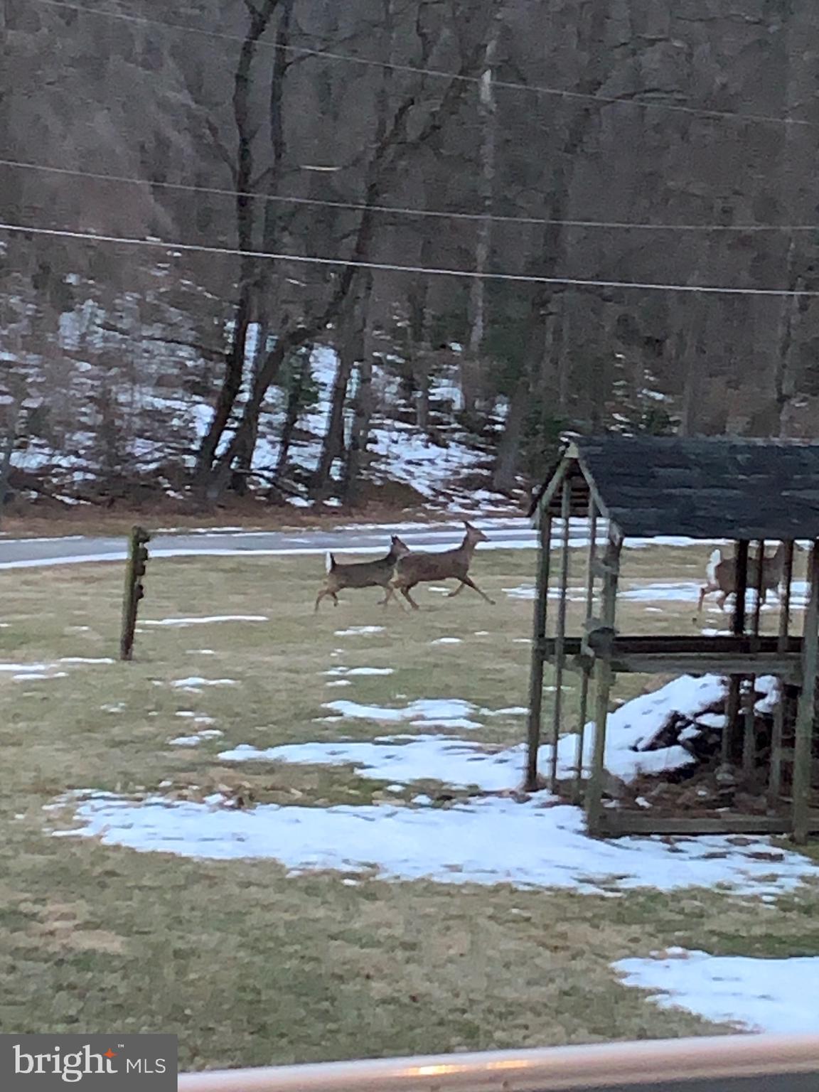 HAMPSTEAD - Residential