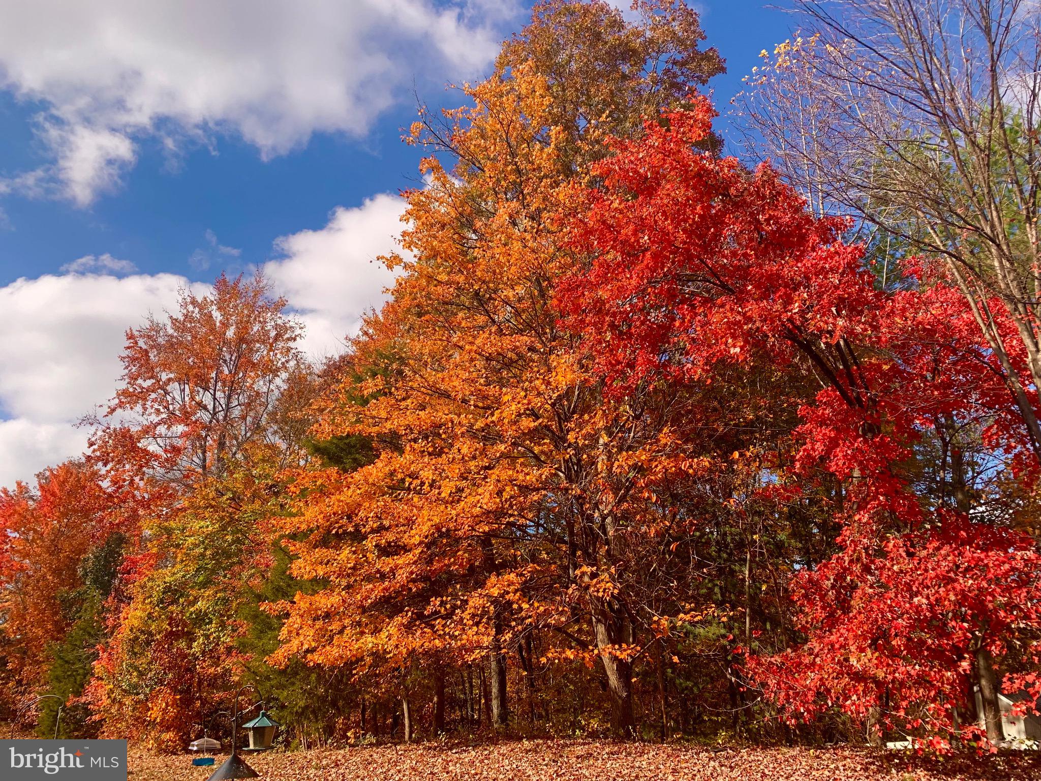 AUSTIN RIDGE - Residential