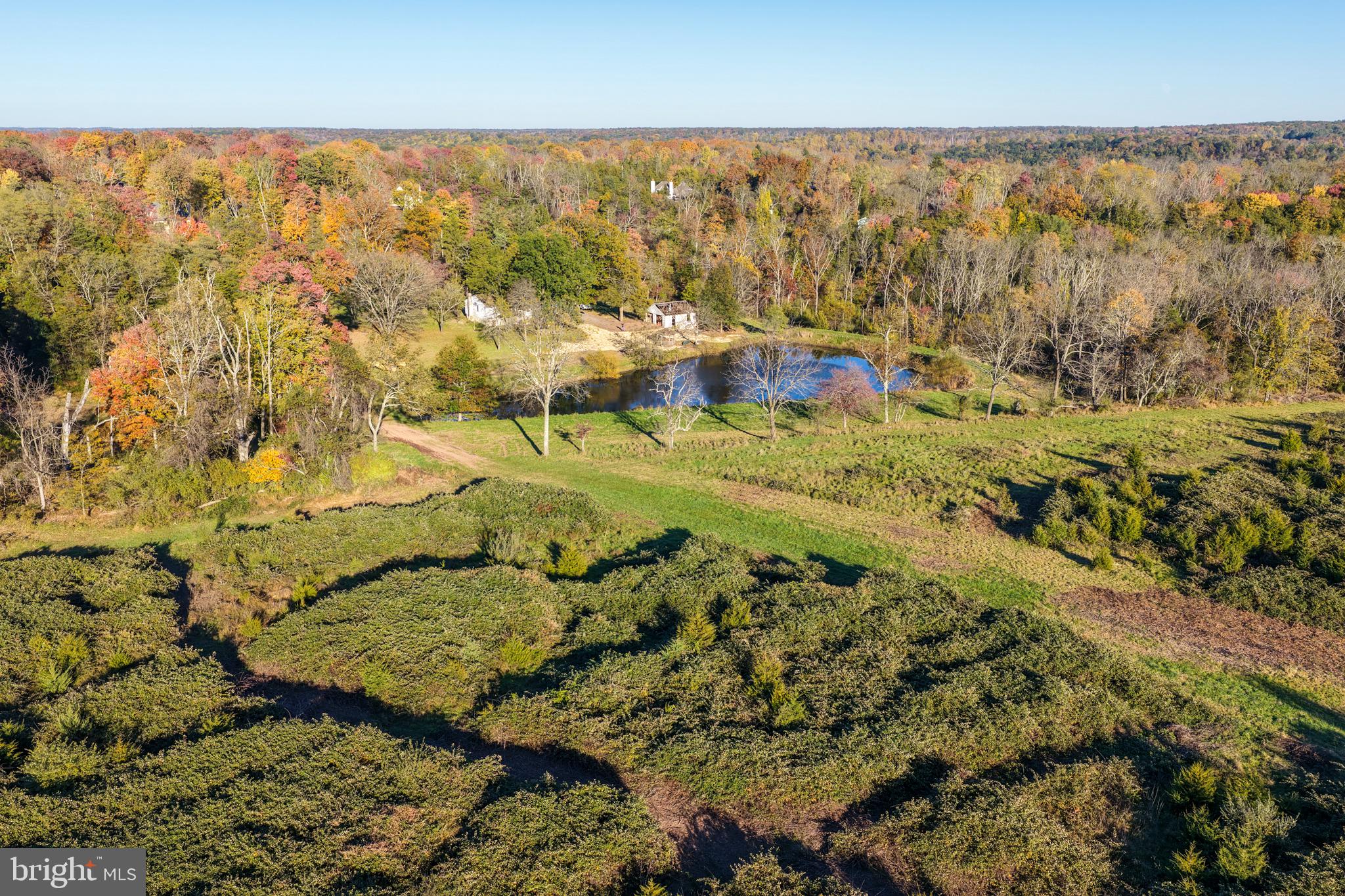 345 CAFFERTY ROAD