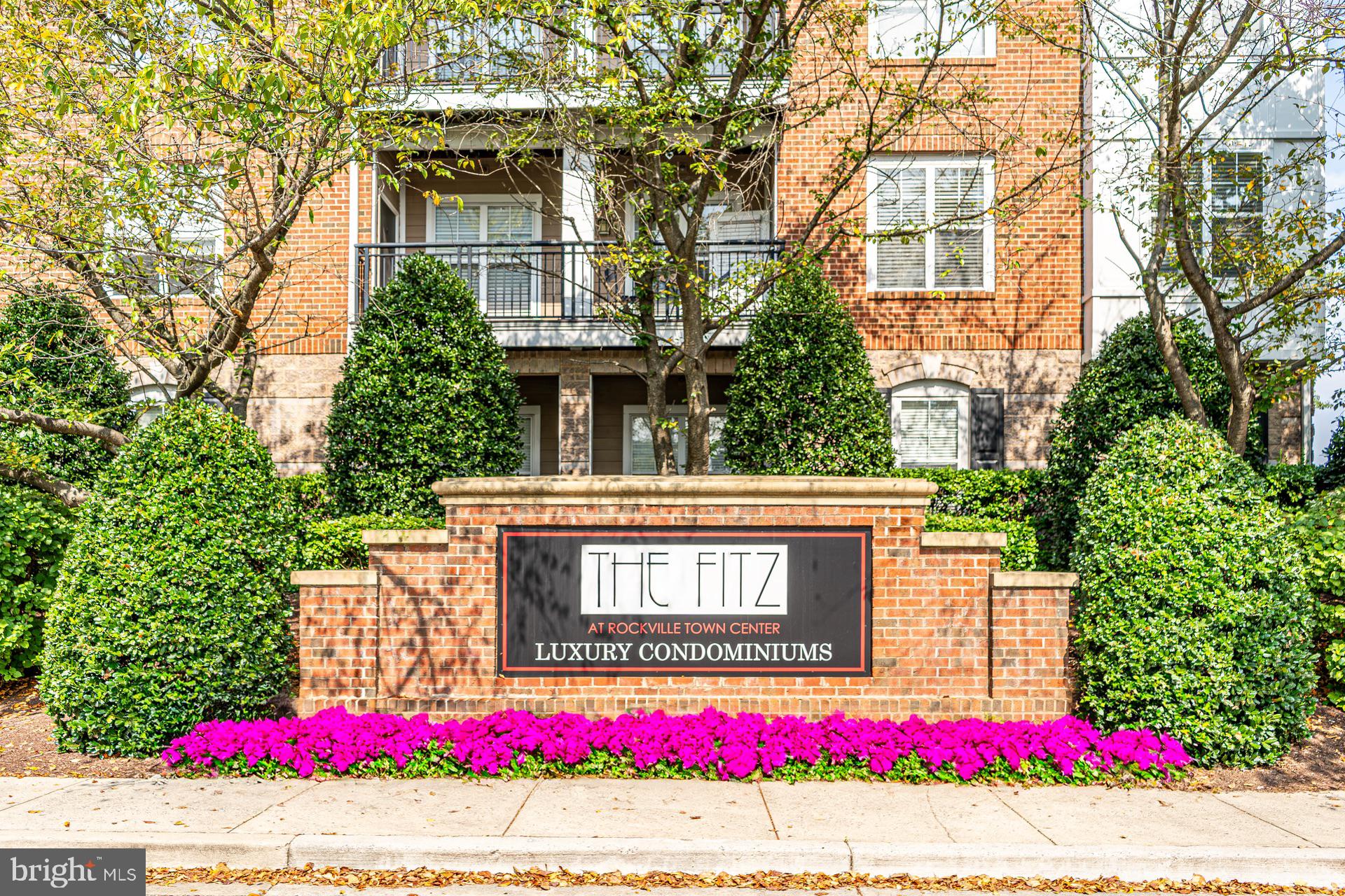 FITZ AT ROCKVILLE TOWN C - Residential