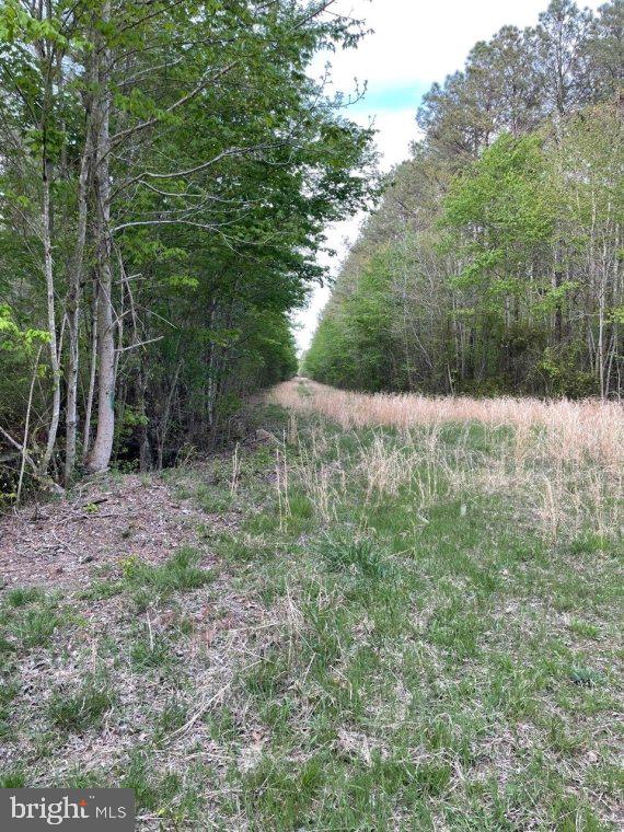 0 FOLLOW DITCH ROAD