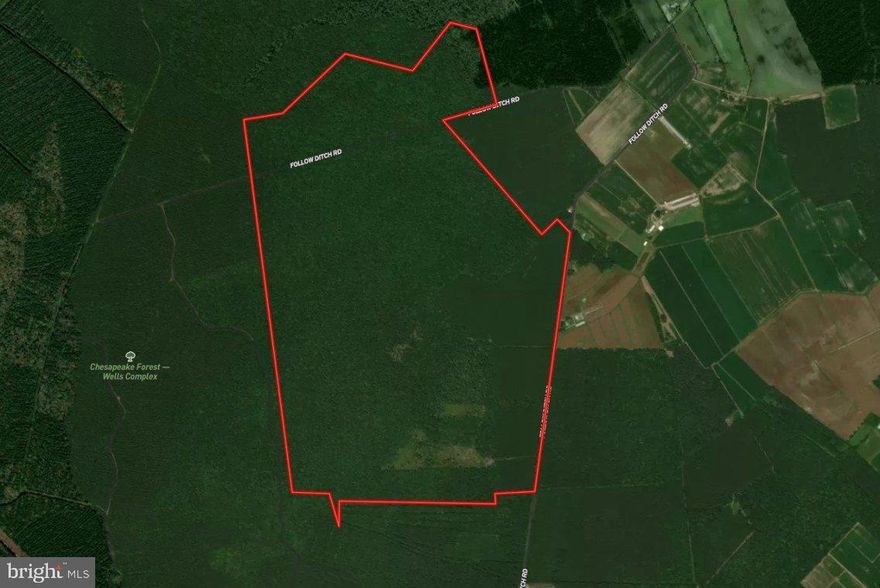 This 711 timberland complex stands within several thousand contiguous acres of state owned forestland in Somerset County.  The tract is located to the South of Wellington WMA and to the North of the Chesapeake Forest Wells Timberland Complex.  This region of the Eastern Shore is well known for the high population of Whitetails and Eastern Wild Turkey. The tract offers the wildlife manager an array of management opportunities for improving the existing habitat as well as creating long term economic returns from the land.  The property has been recently surveyed by consulting hired by the owner to monetize the natural resources of the property for income.  The timber age class summary indicates there is some immediate merchantable timber as well as possible eligibility for certain conservation programs at the state and federal level. A hunting lease yields yearly income as well.  Together these income streams can create a value stack of income streams to make this a quality land investment.  The property is currently free and clear of any conservation programs restricting it's current or future use.  The land use zoning is currently agricultural. Timber data is available upon request.