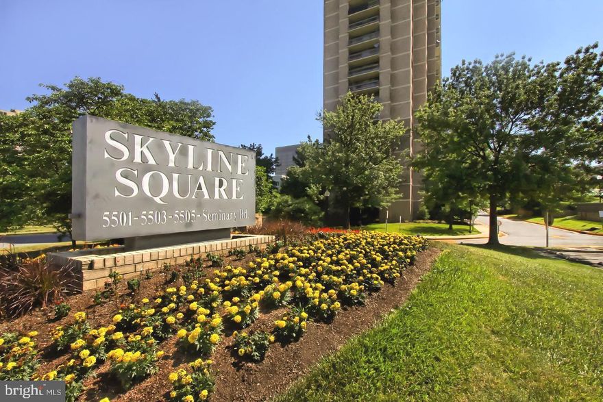 Welcome to "The Monroe" model at Skyline Square. This spacious unit has an open floor plan, 970 square feet, and has been meticulously maintained. Light and bright with newer Energy efficient windows, this home offers plenty of living space, and a large, private balcony. Features include plenty of closet space, with a full size washer and dryer, off the front foyer entrance, kitchen with space for a cozy corner table, separate space for dining room table or set up office space for working from home. The generous sized bedroom has a huge walk-in closet, and you will appreciate the bright lights and warm feel of the bathroom. Amenities include gyms w/sauna/showers/lockers, HUGE outdoor pool, 2 billiard & 2 penthouse party rooms! Also  feel secure  with 24 hour front desk service. The Skyline Subdivision is a community situated in the historic Bailey's Crossroads, with easy access to shopping & dining, in Arlington, and Falls church, and is closely connected to Shirlington, Pentagon City, Amazon HQ2, new development near Potomac Yards, in West Alex, also Reagan Natl Airport.  Easy access to downtown DC,  I395, I495, & I95. Come see, and make this your new home!