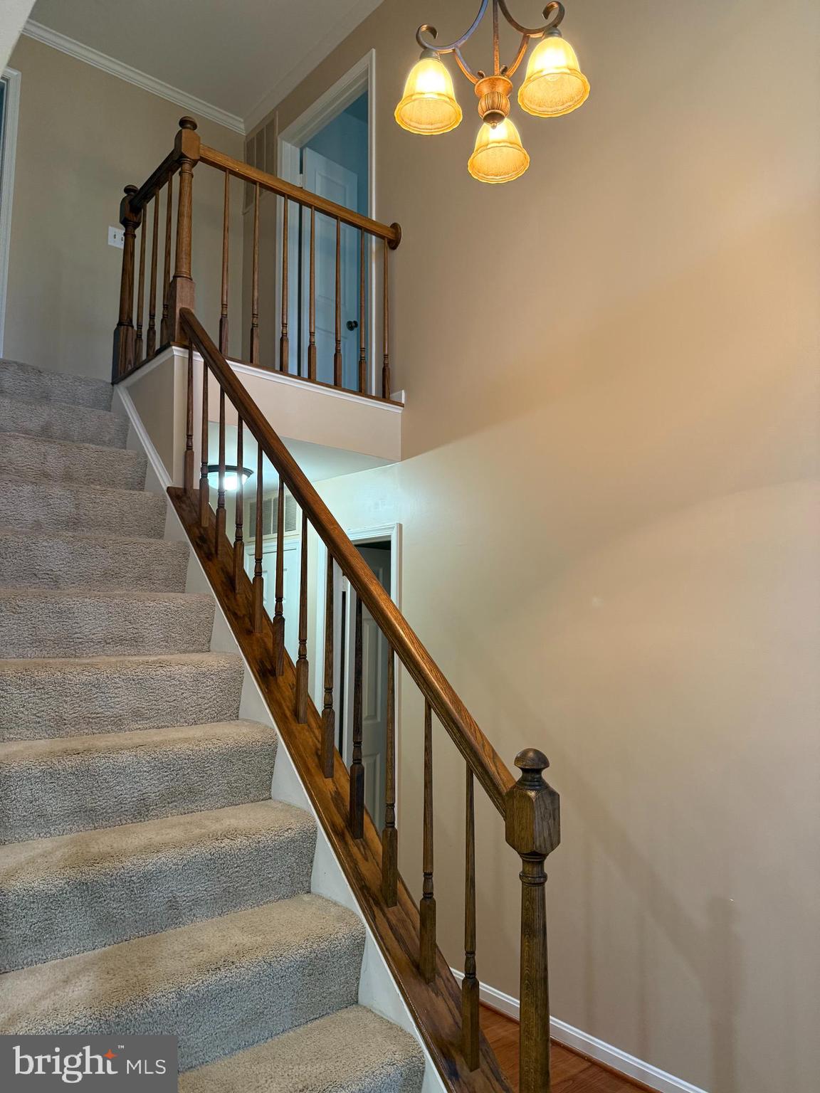 LAKE RIDGE - SPRINGWOODS - Residential Lease