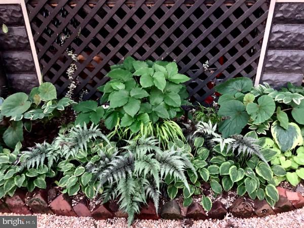 TAKOMA PARK - Residential