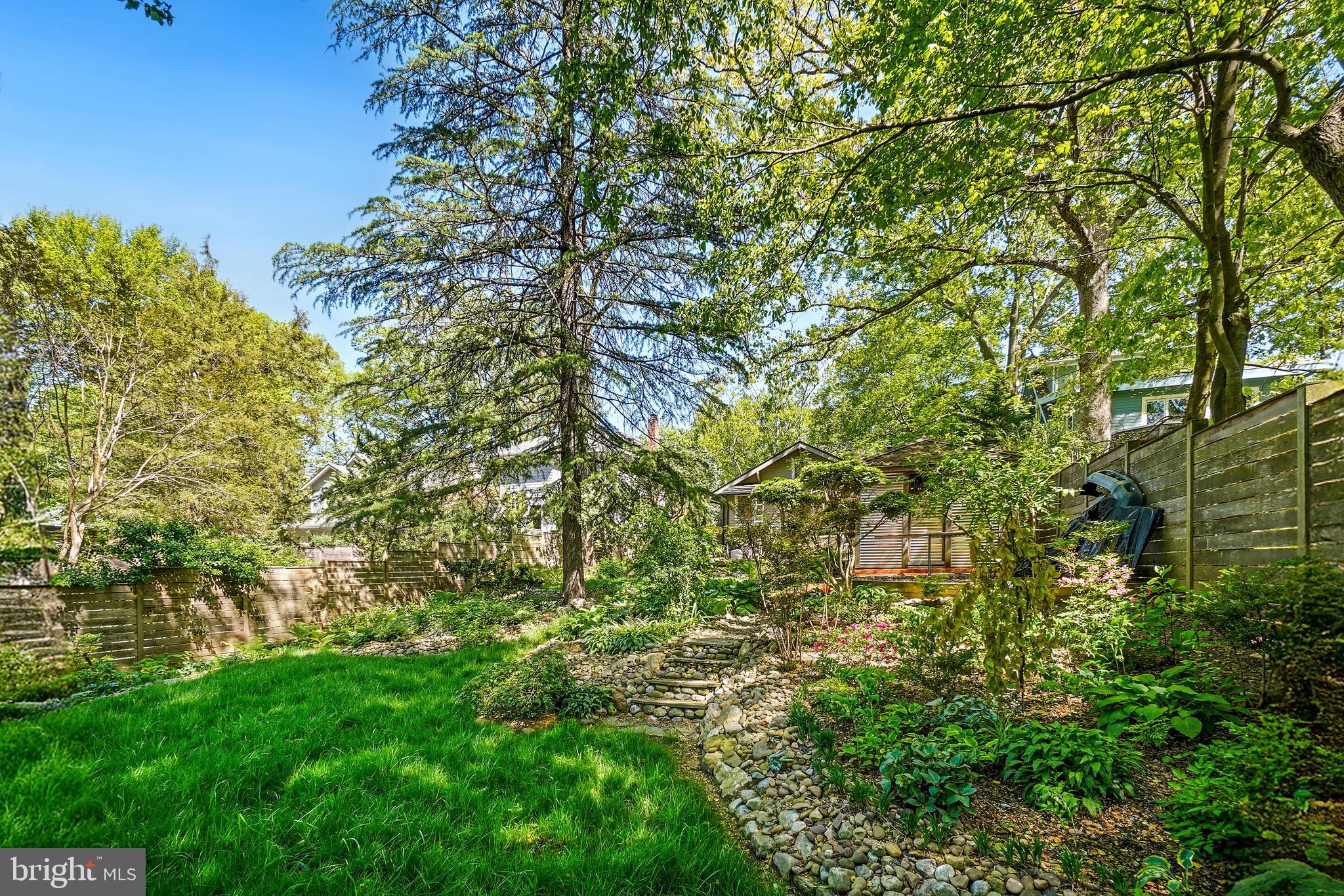 TAKOMA PARK - Residential