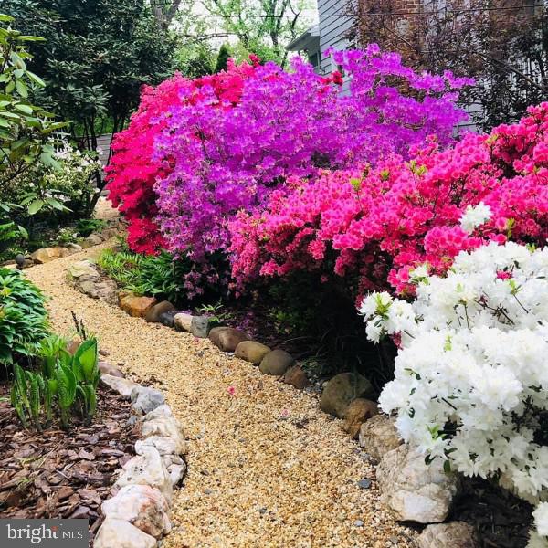 TAKOMA PARK - Residential