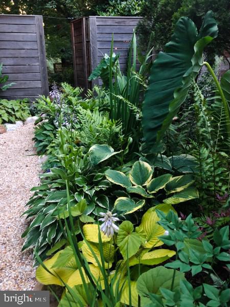 TAKOMA PARK - Residential