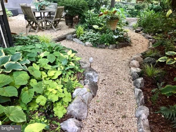 TAKOMA PARK - Residential