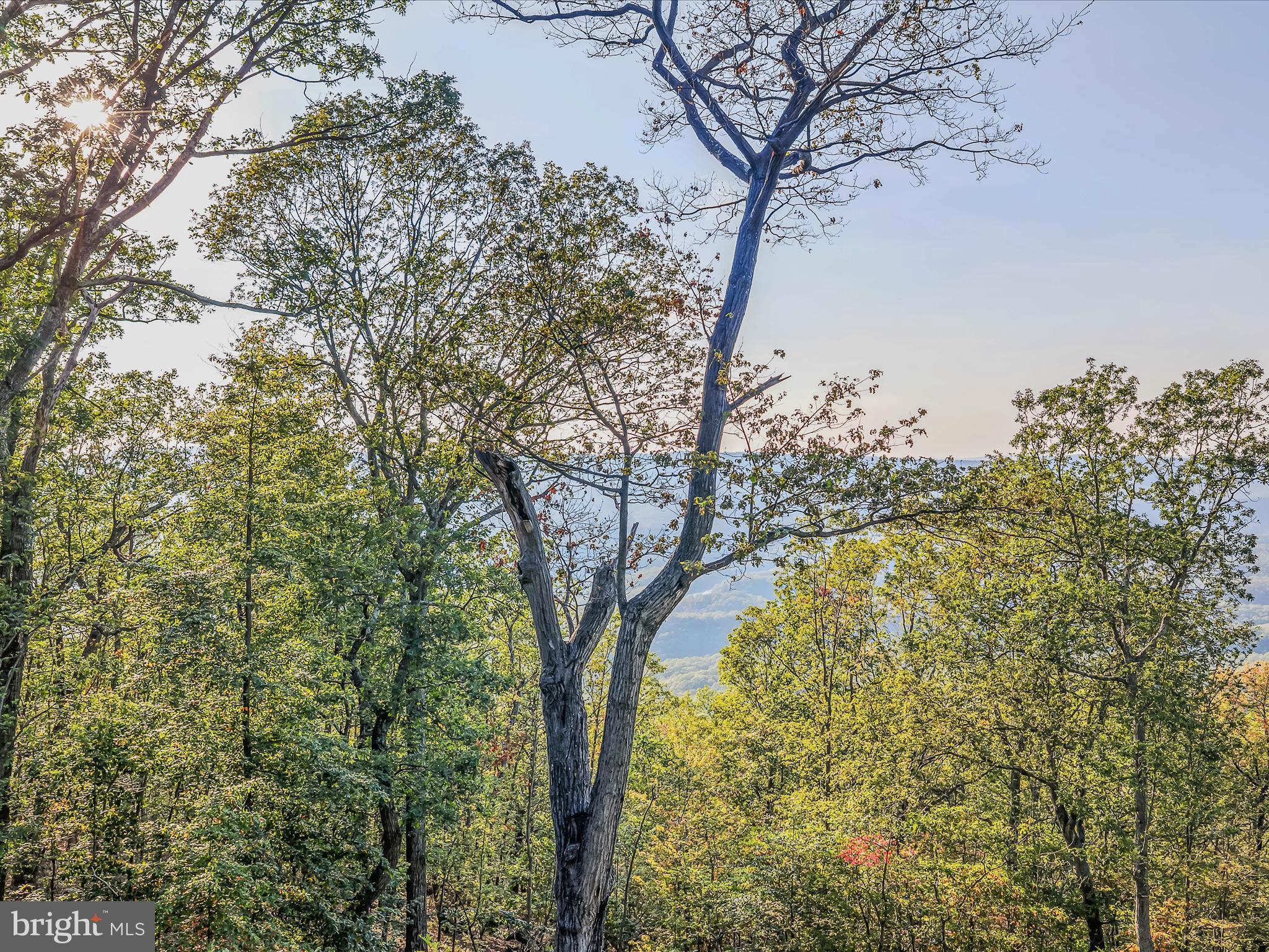 VALLEY HIGH TIMBER FARMS - Residential