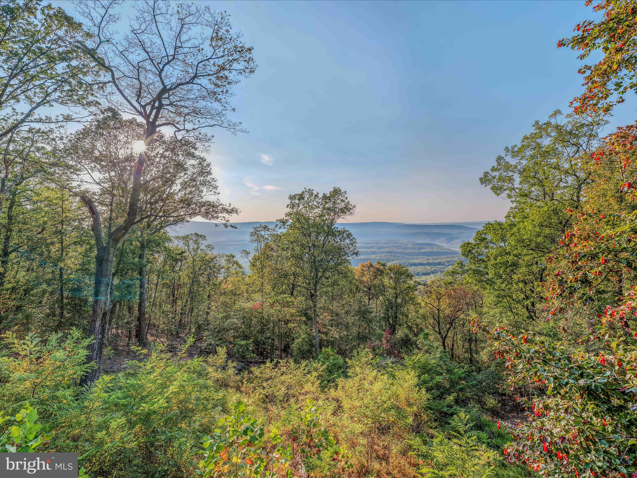 VALLEY HIGH TIMBER FARMS - Residential