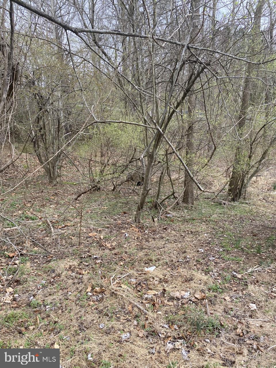 Beautiful Lot in Finksburg...Well already on property,....approved septic.....this large wooded lot on 1.22 acres ready for you to build...Carroll County Schools! Impact Fee has been paid.