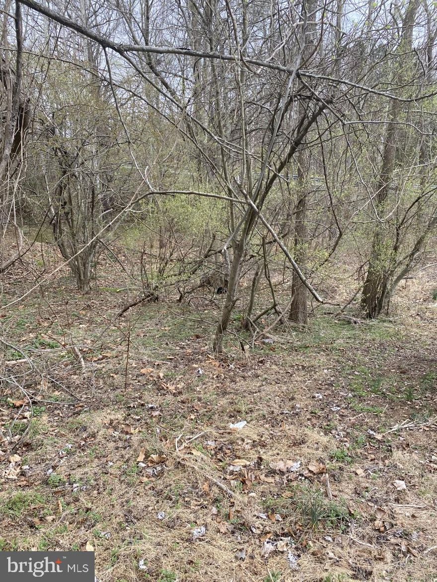 Beautiful Lot in Finksburg...Well already on property,....approved septic.....this  large wooded lot on 1.22 acres  ready for you to build...Carroll County Schools! Impact Fee has been paid.