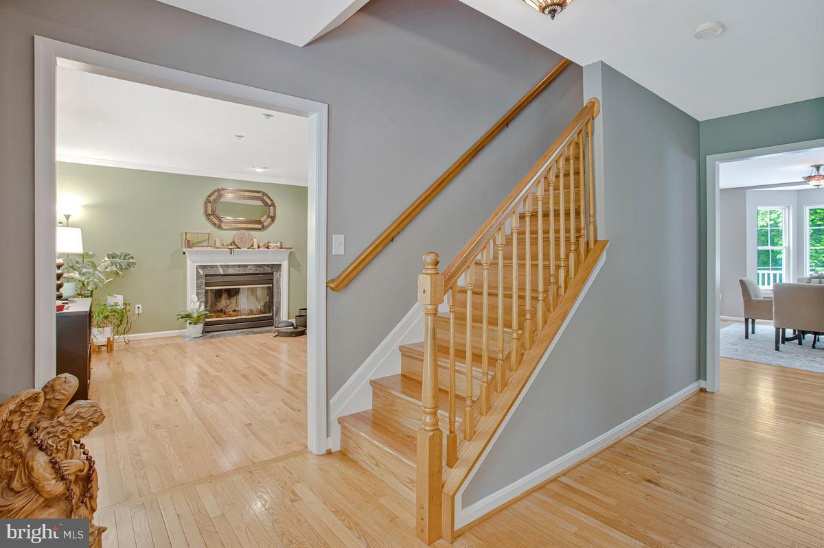 ISLAND CREEK WOODS - Residential