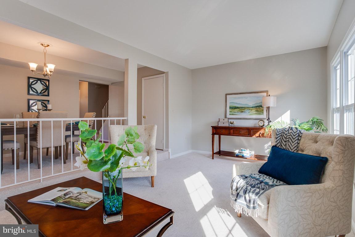 THE VILLAGE PARK - Residential