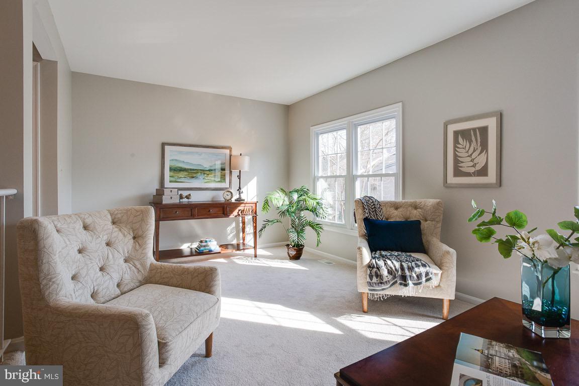 THE VILLAGE PARK - Residential